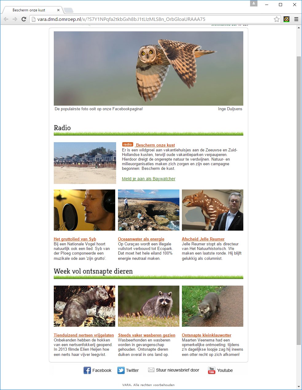 Mijn Velduil in de Vroege Vogels nieuwsbrief.