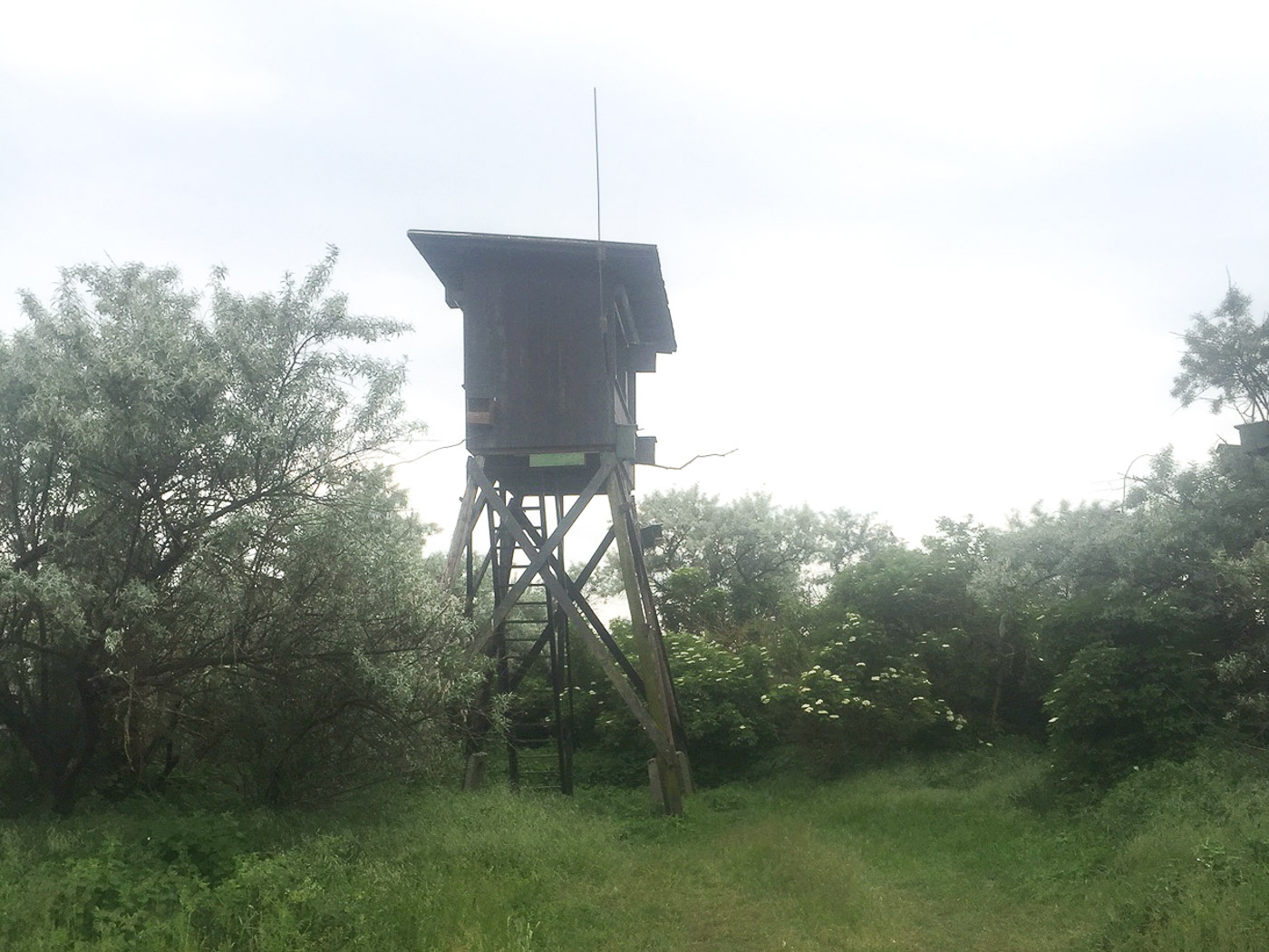 img_2543 Schuilhut bij de kolonie Roodpootvalken